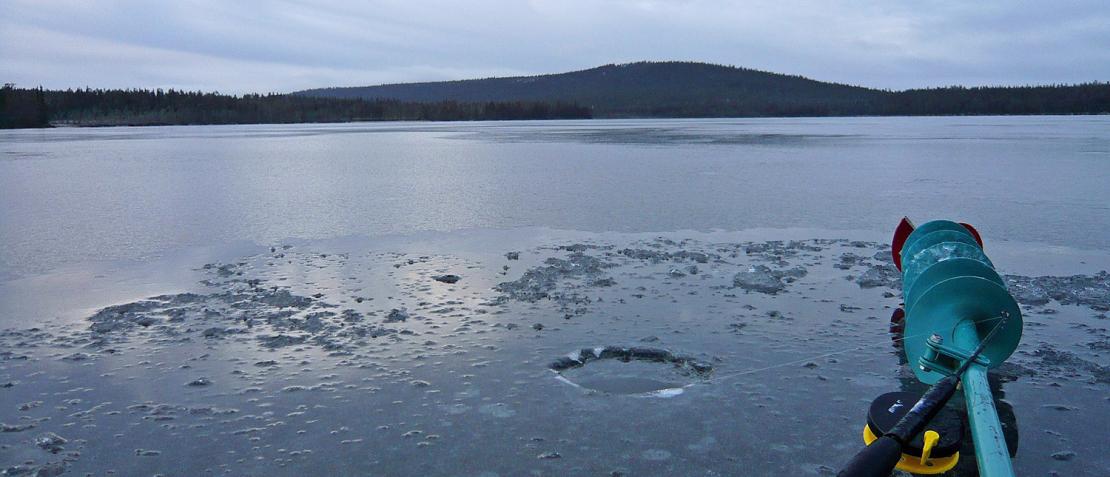 Lataa ja tutustu Lapin 18. kalatalouspäivillä kuultuihin alustuksiin